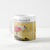 Mug Spatule rosée ( Platalea ajaja ) (Devant gauche)