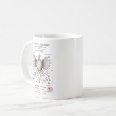 Mug Spécimen de choses âgées - Expedition Pabodie, Mis (Devant gauche)