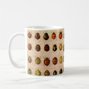 Mug Spécimen de coccinelle vintage Motif Insecte antiq