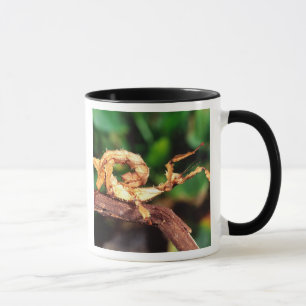 Mug Spectre de Macleay (Phasme épineux),