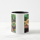 Mug Spectre de Macleay (Phasme épineux), (Centre)