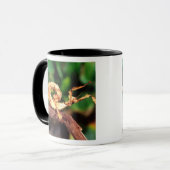 Mug Spectre de Macleay (Phasme épineux), (Devant gauche)