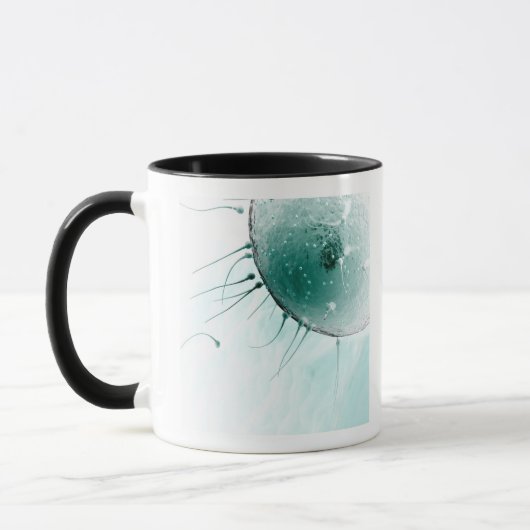 Mug Sperme fertilisant un ovule (Gauche)