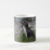Mug Spheniscus humboldti (Centre)