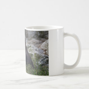 Mug Spheniscus humboldti