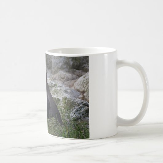 Mug Spheniscus humboldti (Droite)