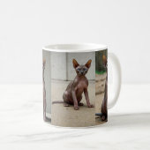 Mug sphinx cat (Devant droit)