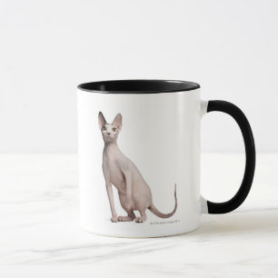 Mug Sphynx (13 mois)
