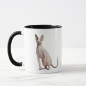 Mug Sphynx (13 mois) (Gauche)