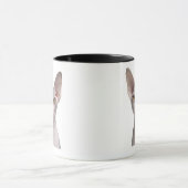 Mug Sphynx (7 mois) (Centre)