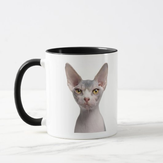 Mug Sphynx (7 mois) (Gauche)