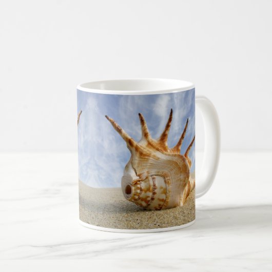 Mug Spider Conch Shell sur Sandy Beach (Devant droit)