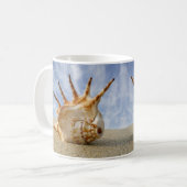 Mug Spider Conch Shell sur Sandy Beach (Devant gauche)