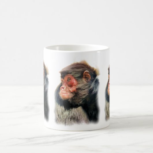 MUG SPIDER MONKEY (Centre)
