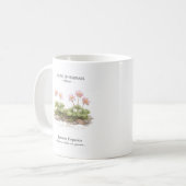 Mug Spring Ephemerals of Japan – Japanese Hepatica (Devant gauche)