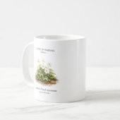 Mug Spring Ephemerals of Japan – Japanese Wood Anemone (Devant gauche)