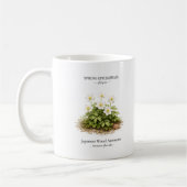Mug Spring Ephemerals of Japan – Japanese Wood Anemone (Gauche)