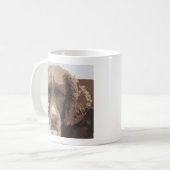 Mug Springer anglais (Devant gauche)