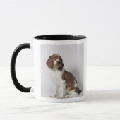 Mug Springer spaniel (Gauche)