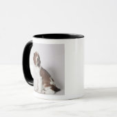 Mug Springer spaniel (Devant gauche)
