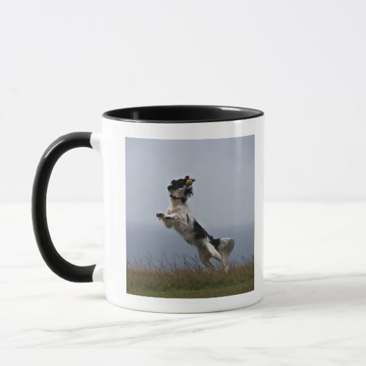 Mug springer spaniel noir et blanc jouant avec (Gauche)