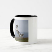 Mug springer spaniel noir et blanc jouant avec (Devant gauche)