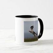 Mug springer spaniel noir et blanc jouant avec (Devant droit)