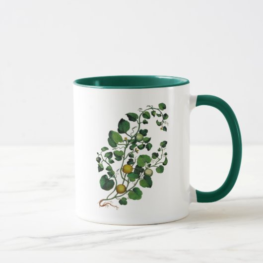 Mug Squash Vine 4 (Droite)