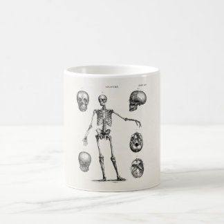 Mug Squelette d'antiquité squelette des années 1800 vi