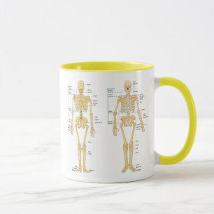 Mug Squelette humain marqué diagramme d'anatomie