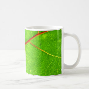 Mug St Thomas 1