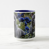 Mug Staffordshire Bull Terrier Dans Blue Rose Garden, (Centre)