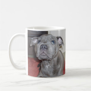 Mug Staffordshire Bull Terrier Puppy Sooky Face,