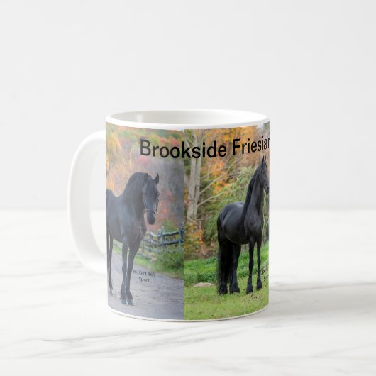 Mug Stallions de Brookside Friesians LLC (Devant gauche)