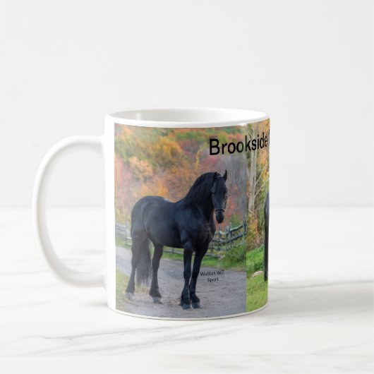Mug Stallions de Brookside Friesians LLC (Gauche)