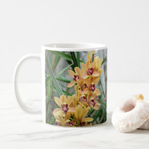 Mug Star Orchids