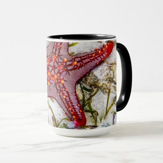Mug Starfish, Zanzibar, Tanzanie (Devant droit)