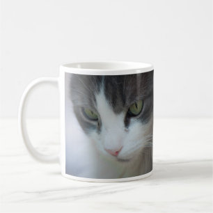 Mug Staring de chat noir et blanc