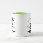 Mug Statistiques de perruche de moine (Centre)