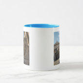 Mug statue de lion devant San Francesco di Paola (Centre)