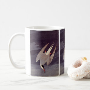 Mug Sterne arctique par John James Audubon, Oiseaux vi