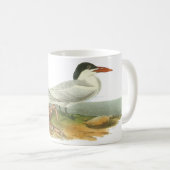 Mug Sterne royale, John Audubon (Devant droit)