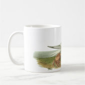 Mug Sterne royale, John Audubon (Gauche)