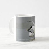 Mug Sternes de sandwich sur la côte du Texas (Devant gauche)