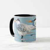 Mug Sternes royales sur la plage (Devant gauche)