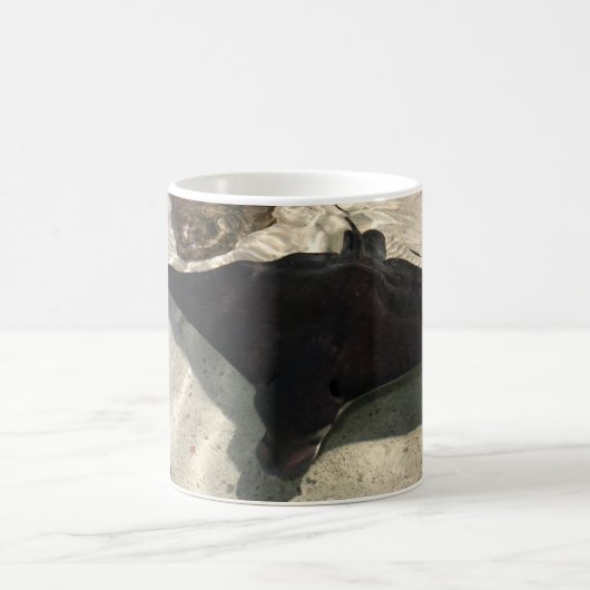 Mug Stingray (Centre)
