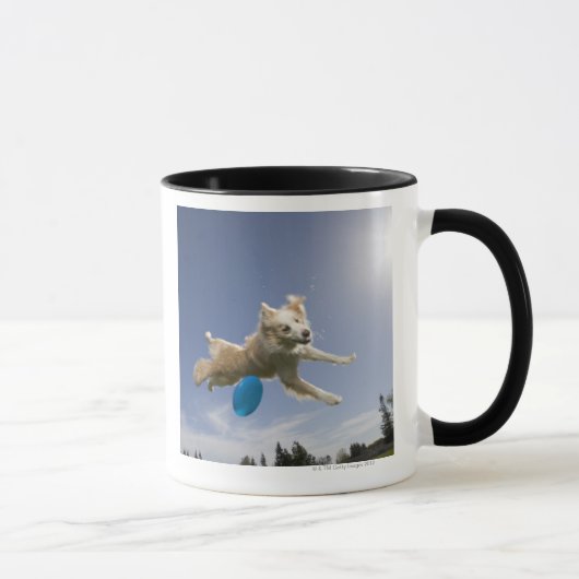 Mug Stockton, la Californie, Etats-Unis (Droite)