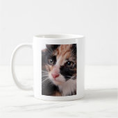 Mug Stray Kitten (Gauche)