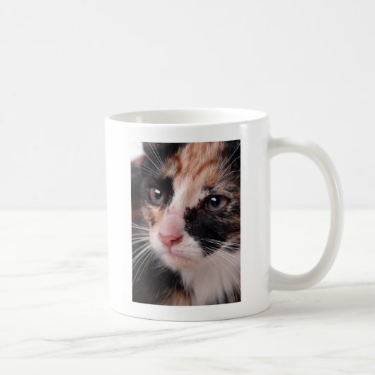 Mug Stray Kitten (Droite)
