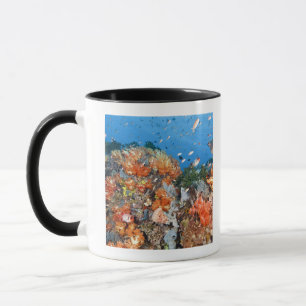 Mug Structure saine de récif, parc national de Komodo